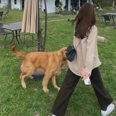 小鬼出招